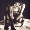 Il fumettista Thierry Van Hasselt a Bologna