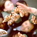 I giovani e la cultura