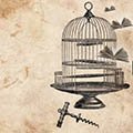 Enolibr - Editori e Vignai dal gusto indipendente