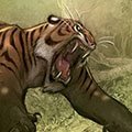 Fumetti alla PGM - Incontro con Federico Bertolucci