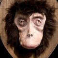 Mostra personale di Ericailcane